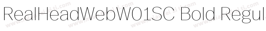 RealHeadWebW01SC Bold Regular字体转换